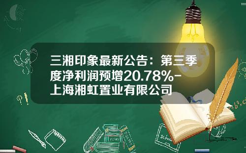 三湘印象最新公告：第三季度净利润预增20.78%-上海湘虹置业有限公司