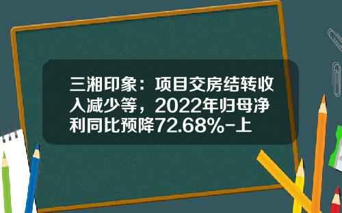三湘印象：项目交房结转收入减少等，2022年归母净利同比预降72.68%-上海湘虹置业有限公司