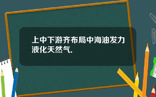 上中下游齐布局中海油发力液化天然气.