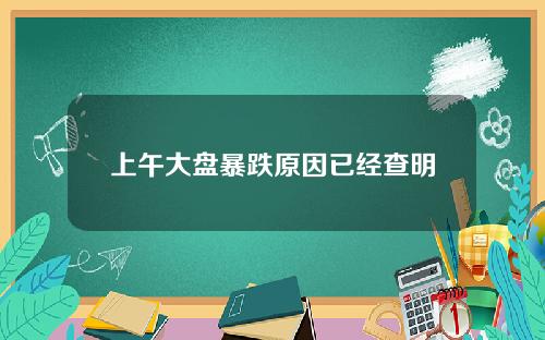 上午大盘暴跌原因已经查明