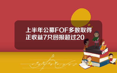 上半年公募FOF多数取得正收益7只回报超过20