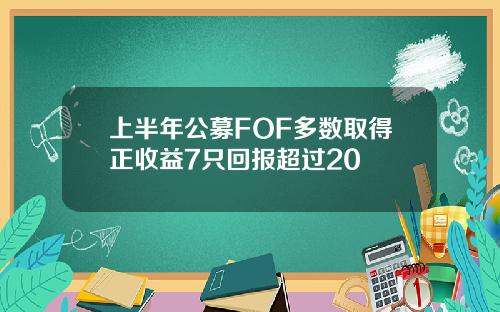 上半年公募FOF多数取得正收益7只回报超过20