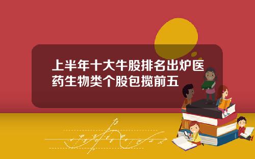 上半年十大牛股排名出炉医药生物类个股包揽前五