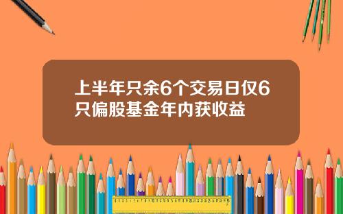 上半年只余6个交易日仅6只偏股基金年内获收益