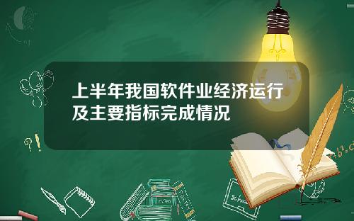 上半年我国软件业经济运行及主要指标完成情况