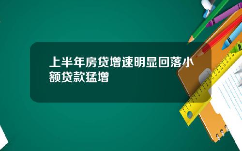 上半年房贷增速明显回落小额贷款猛增