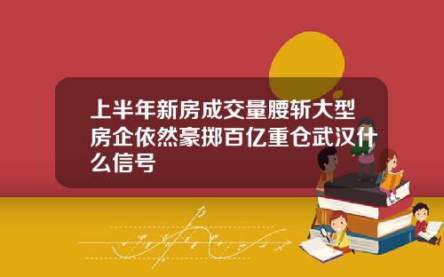 上半年新房成交量腰斩大型房企依然豪掷百亿重仓武汉什么信号