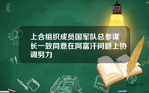 上合组织成员国军队总参谋长一致同意在阿富汗问题上协调努力