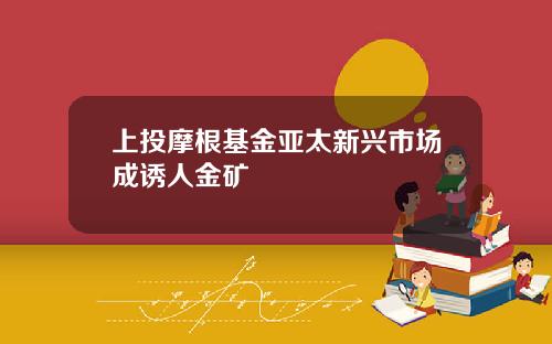 上投摩根基金亚太新兴市场成诱人金矿
