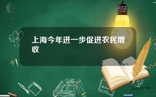 上海今年进一步促进农民增收