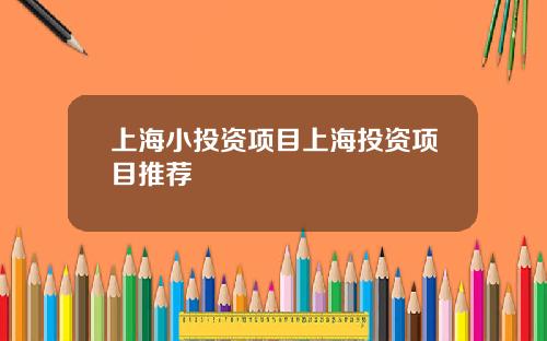 上海小投资项目上海投资项目推荐