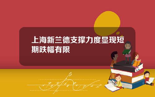 上海新兰德支撑力度显现短期跌幅有限