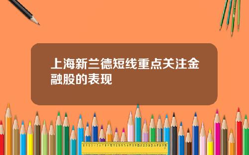 上海新兰德短线重点关注金融股的表现