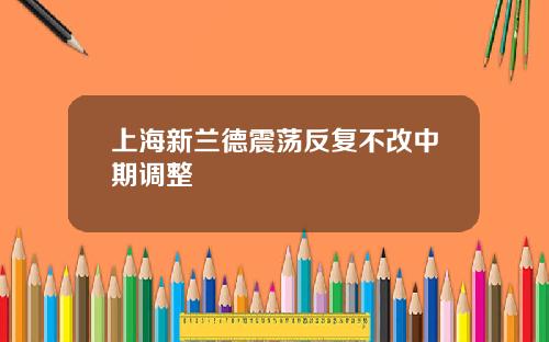 上海新兰德震荡反复不改中期调整