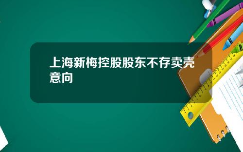 上海新梅控股股东不存卖壳意向