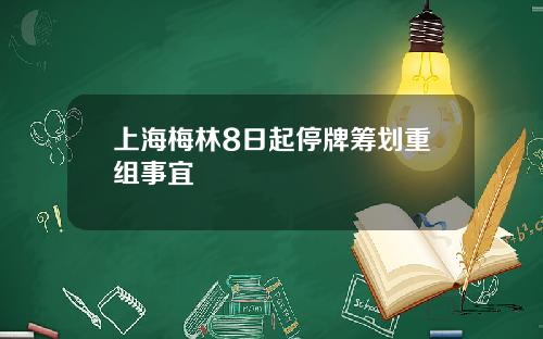 上海梅林8日起停牌筹划重组事宜