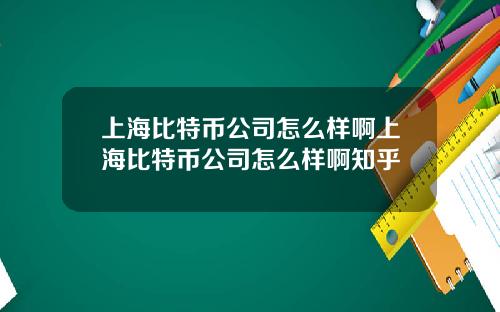 上海比特币公司怎么样啊上海比特币公司怎么样啊知乎