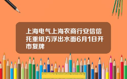 上海电气上海农商行安信信托重组方浮出水面6月1日开市复牌
