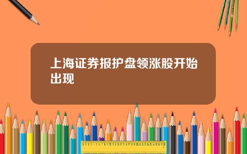 上海证券报护盘领涨股开始出现