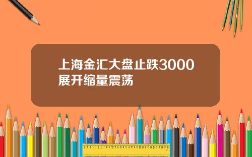 上海金汇大盘止跌3000展开缩量震荡