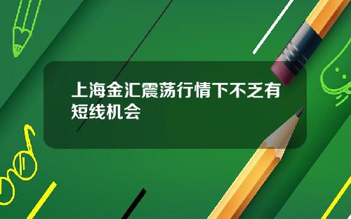 上海金汇震荡行情下不乏有短线机会