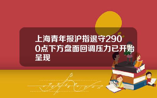 上海青年报沪指退守2900点下方盘面回调压力已开始呈现