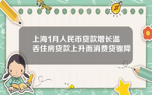 上海1月人民币贷款增长温吞住房贷款上升而消费贷骤降