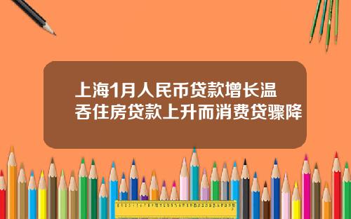 上海1月人民币贷款增长温吞住房贷款上升而消费贷骤降