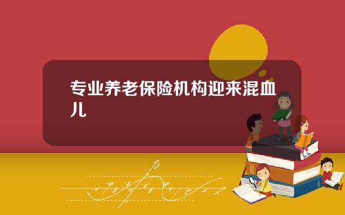 专业养老保险机构迎来混血儿