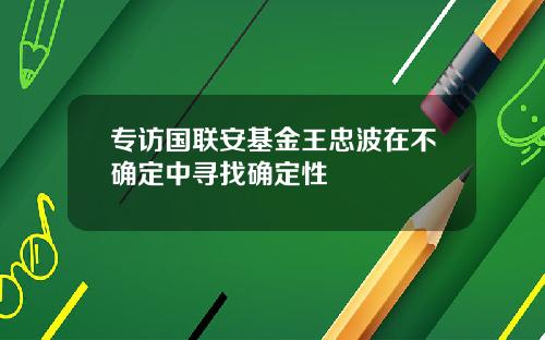 专访国联安基金王忠波在不确定中寻找确定性