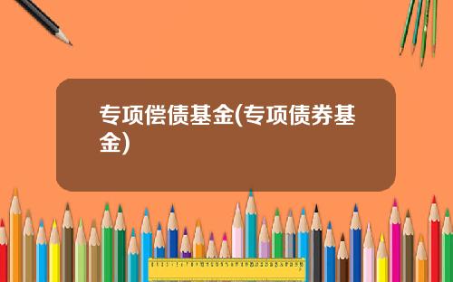 专项偿债基金(专项债券基金)
