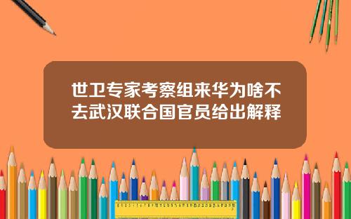 世卫专家考察组来华为啥不去武汉联合国官员给出解释