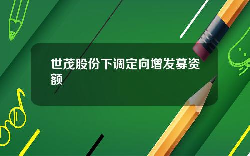 世茂股份下调定向增发募资额