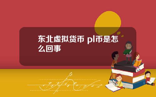 东北虚拟货币 pl币是怎么回事