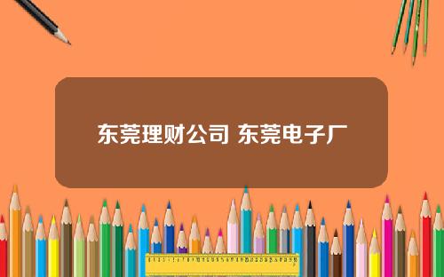 东莞理财公司 东莞电子厂