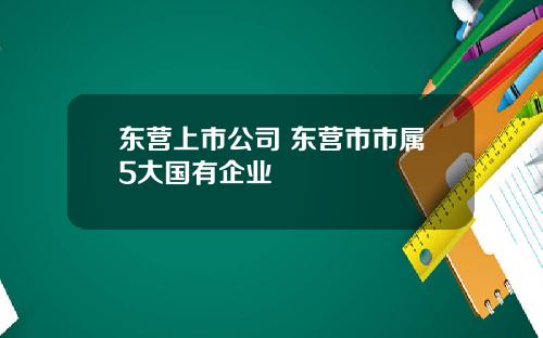 东营上市公司 东营市市属5大国有企业