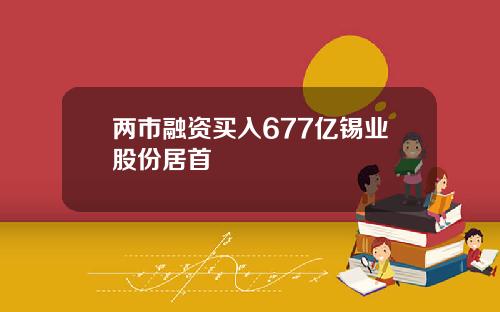 两市融资买入677亿锡业股份居首