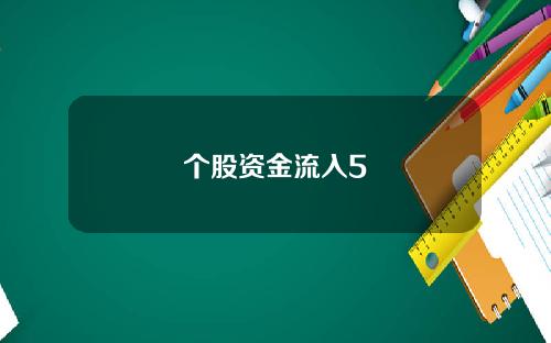 个股资金流入5