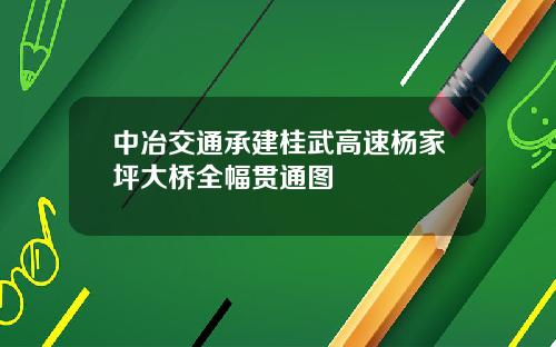中冶交通承建桂武高速杨家坪大桥全幅贯通图