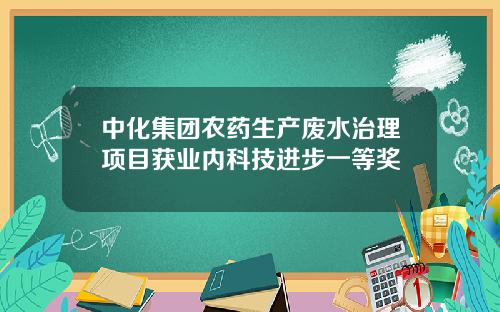 中化集团农药生产废水治理项目获业内科技进步一等奖