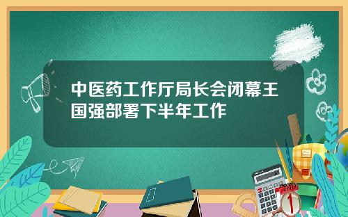 中医药工作厅局长会闭幕王国强部署下半年工作
