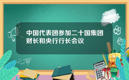 中国代表团参加二十国集团财长和央行行长会议