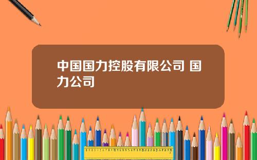 中国国力控股有限公司 国力公司