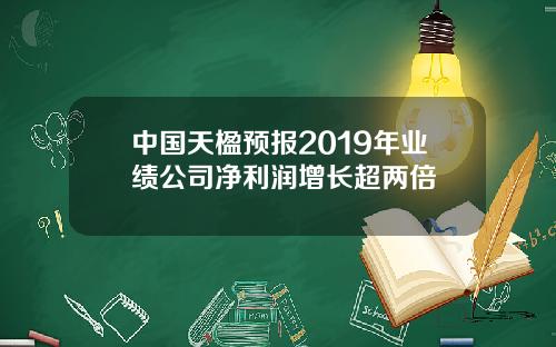 中国天楹预报2019年业绩公司净利润增长超两倍
