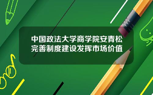 中国政法大学商学院安青松完善制度建设发挥市场价值