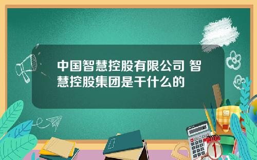 中国智慧控股有限公司 智慧控股集团是干什么的