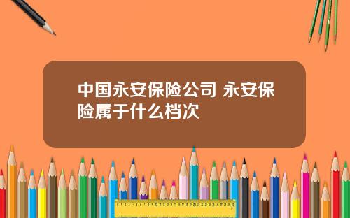 中国永安保险公司 永安保险属于什么档次