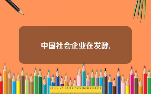 中国社会企业在发酵.