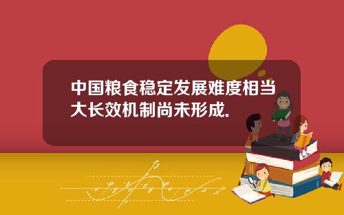 中国粮食稳定发展难度相当大长效机制尚未形成.