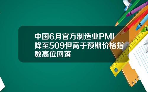中国6月官方制造业PMI降至509但高于预期价格指数高位回落